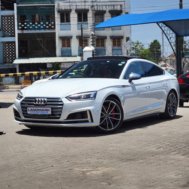 AUDI S5-13
