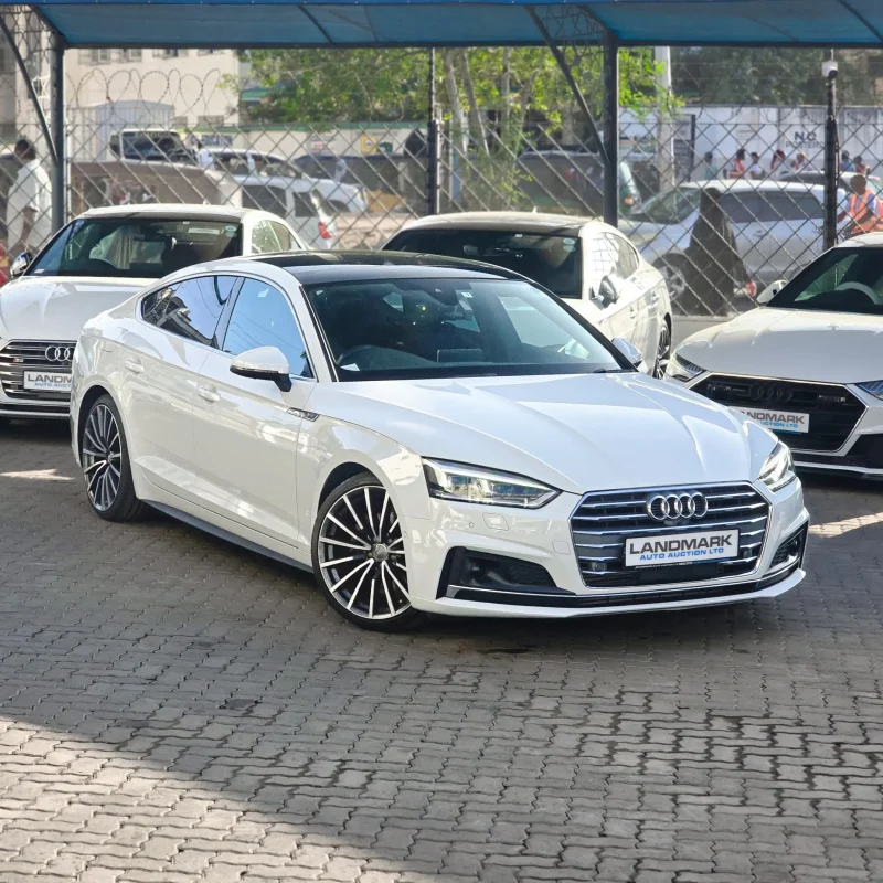Audi_A5_Quattro_2019_Kenya_Landmark_10_result