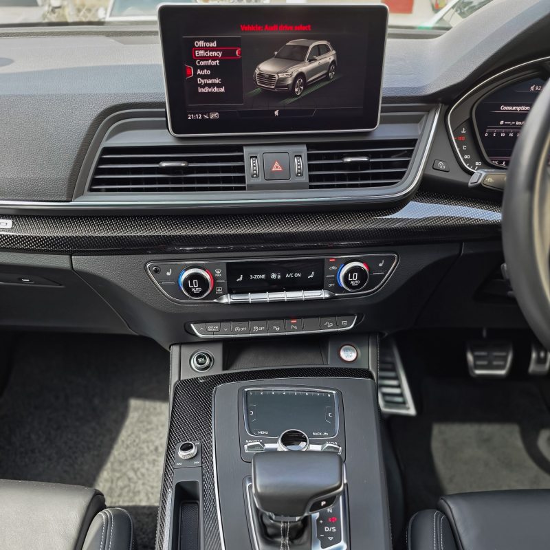 Audi_SQ5_Kenya_Landmark_10_result