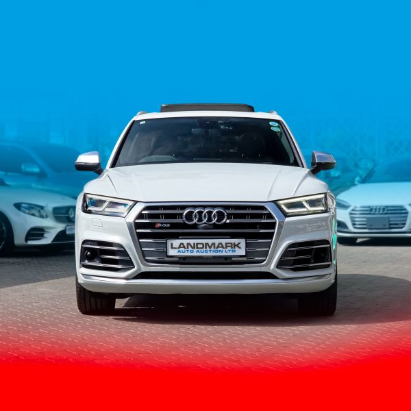 Audi_SQ5_Kenya_Landmark_1_result