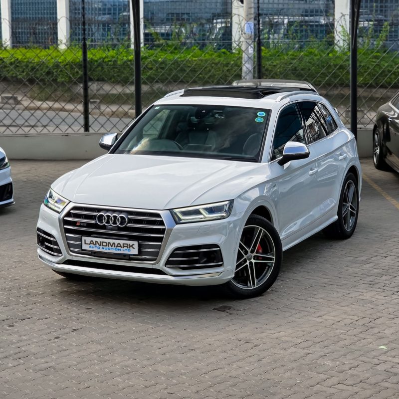 Audi_SQ5_Kenya_Landmark_2_result