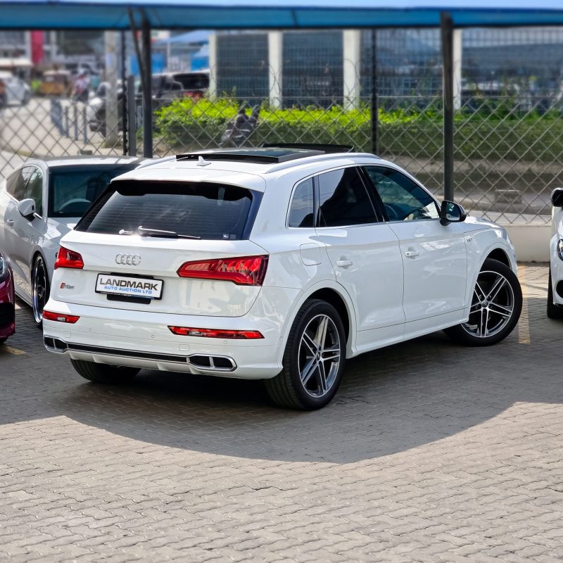 Audi_SQ5_Kenya_Landmark_3_result