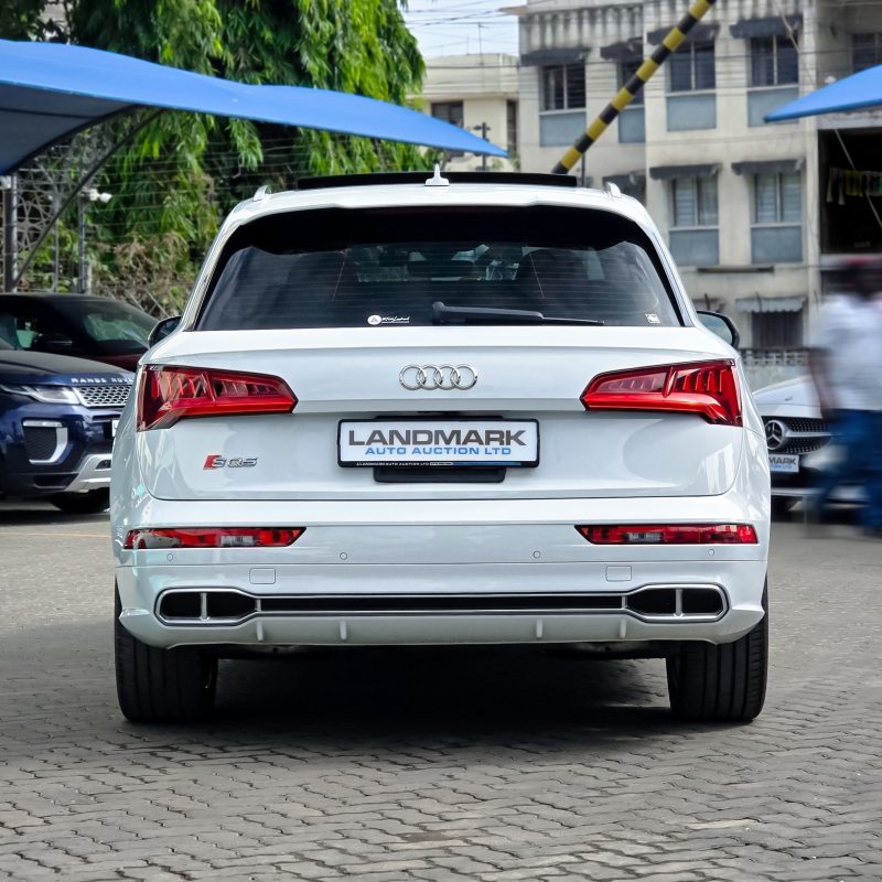Audi_SQ5_Kenya_Landmark_4_result
