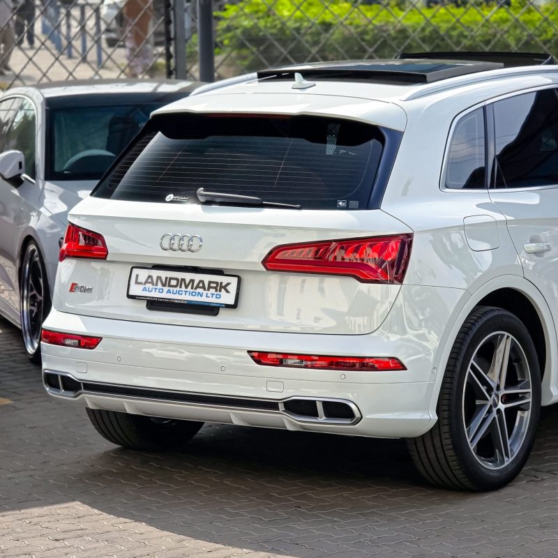 Audi_SQ5_Kenya_Landmark_5_result