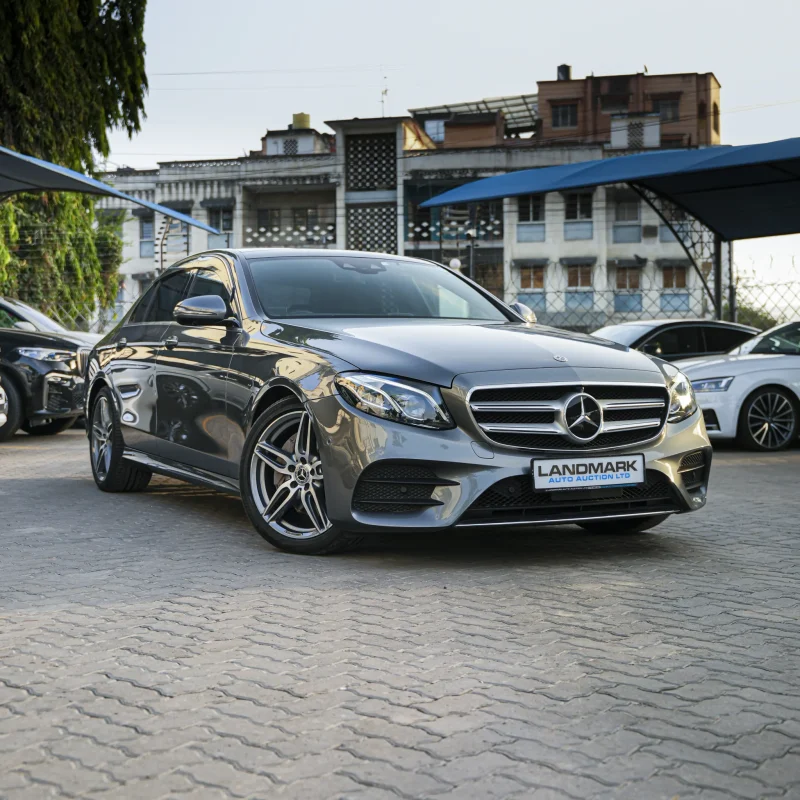 Mercedes Benz_E250_2018_gray (18)