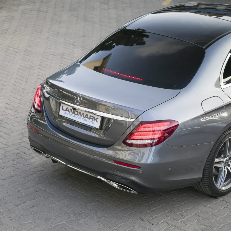 Mercedes Benz_E250_2018_gray (22)