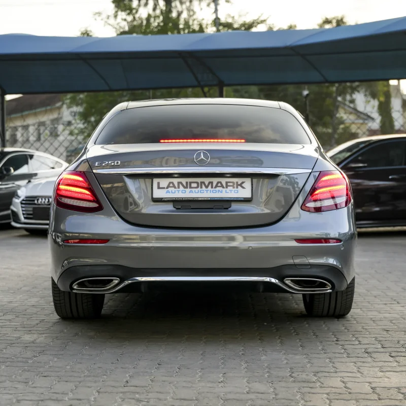 Mercedes Benz_E250_2018_gray (24)