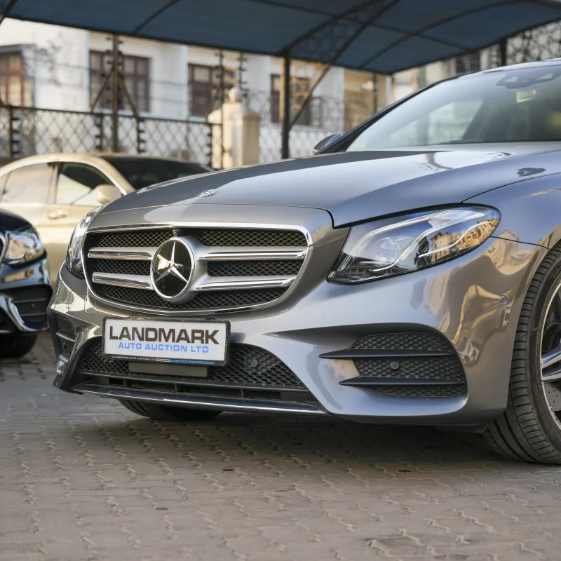 Mercedes Benz_E250_2018_gray (27)
