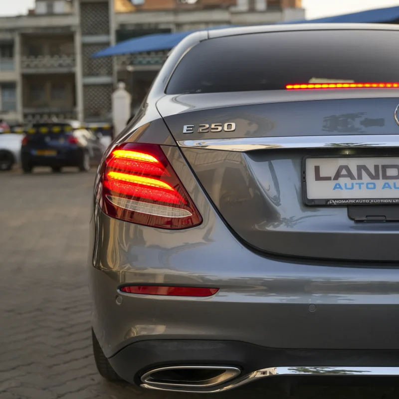 Mercedes Benz_E250_2018_gray (29)