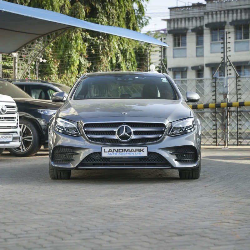 Mercedes Benz_E250_2018_gray (30)
