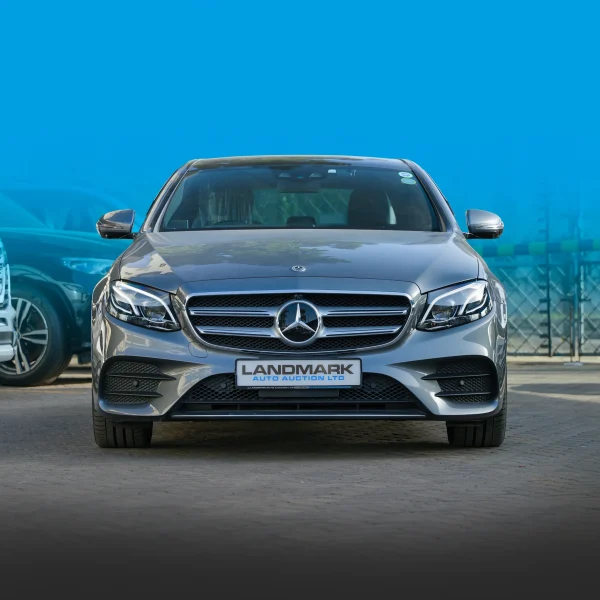 Mercedes Benz_E250_2018_gray