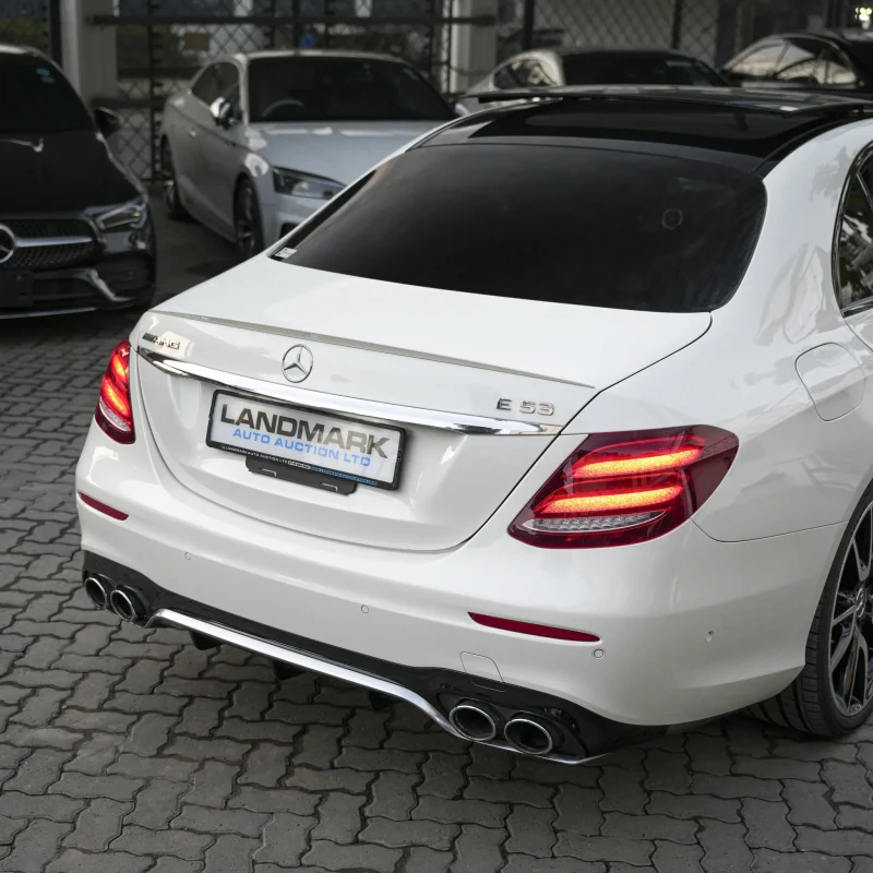 Mercedes Benz_E53_2018_White (26)