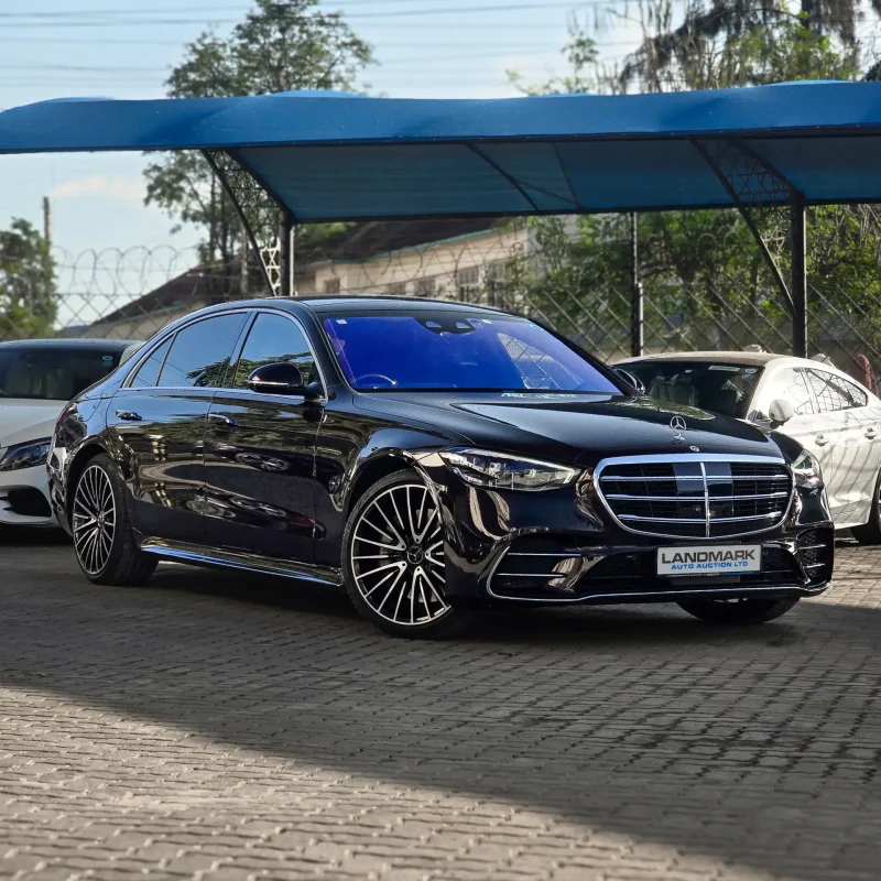 Mercedes Benz_S500_LWB_2021_24_result