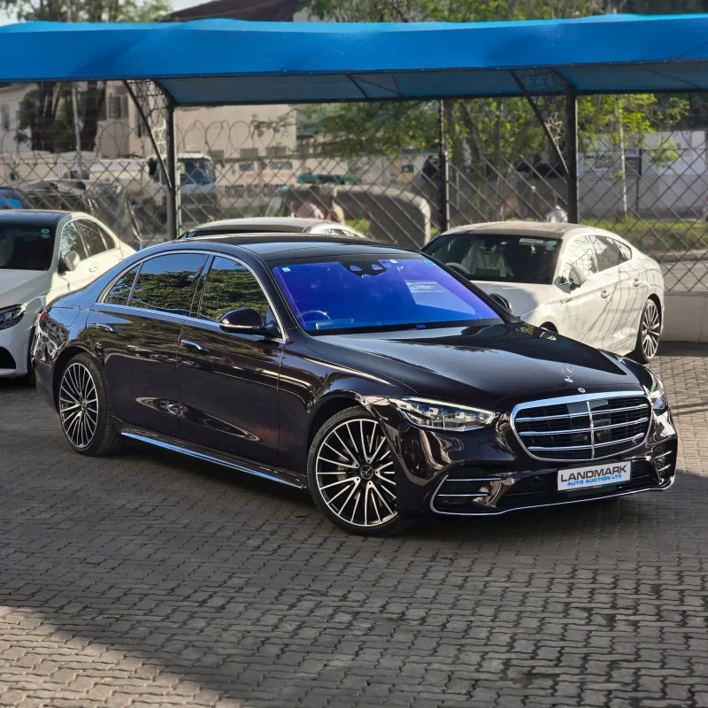 Mercedes Benz_S500_LWB_2021_25_result