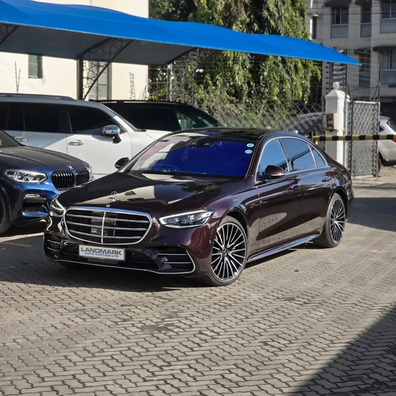 Mercedes Benz_S500_LWB_2021_35_result