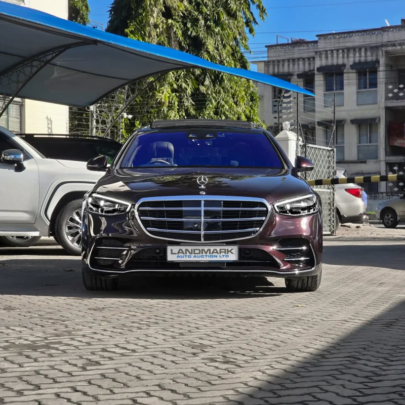 Mercedes Benz_S500_LWB_2021_37_result