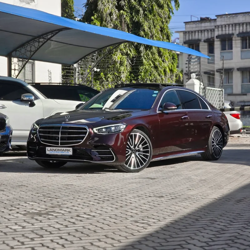 Mercedes Benz_S500_LWB_2021_38_result