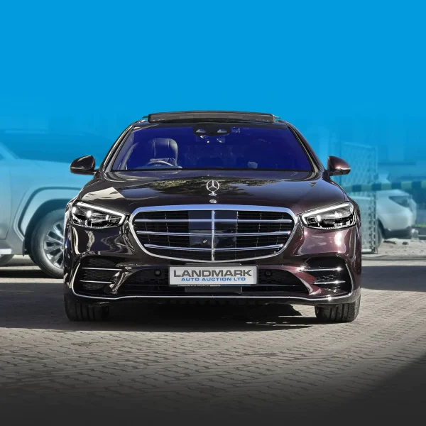 Mercedes Benz_S500_LWB_2021_39_result