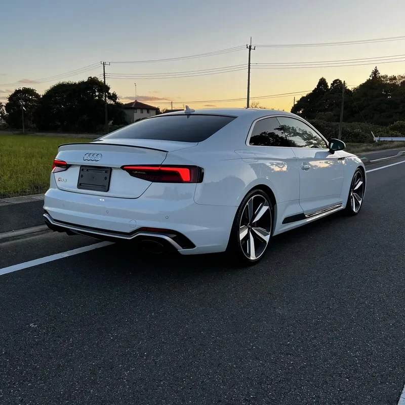 RS5 (3)