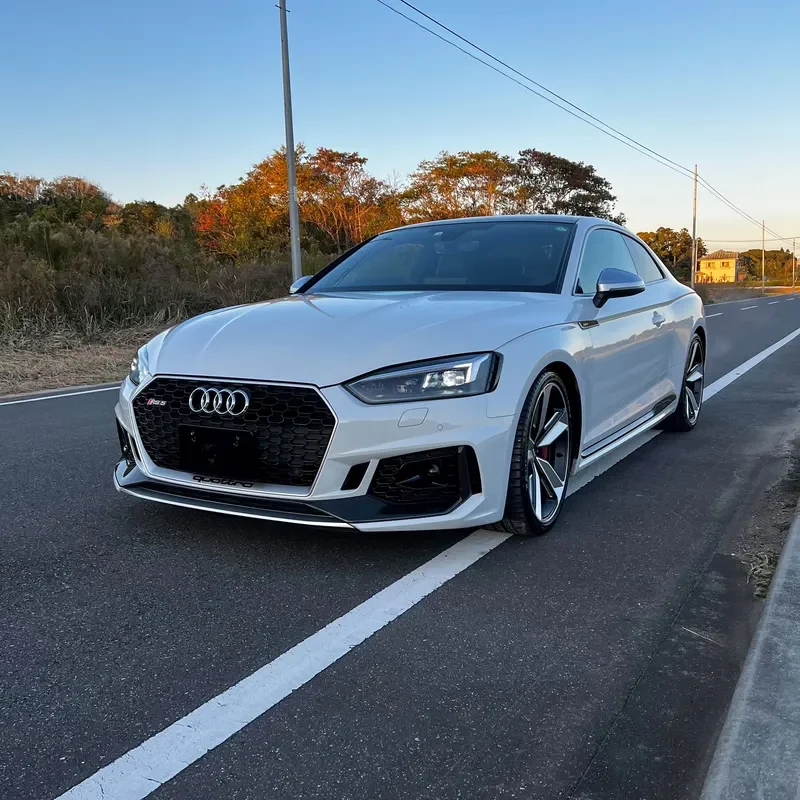 RS5 (5)