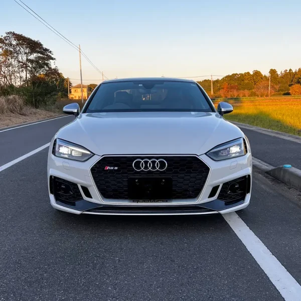 RS5 (7)