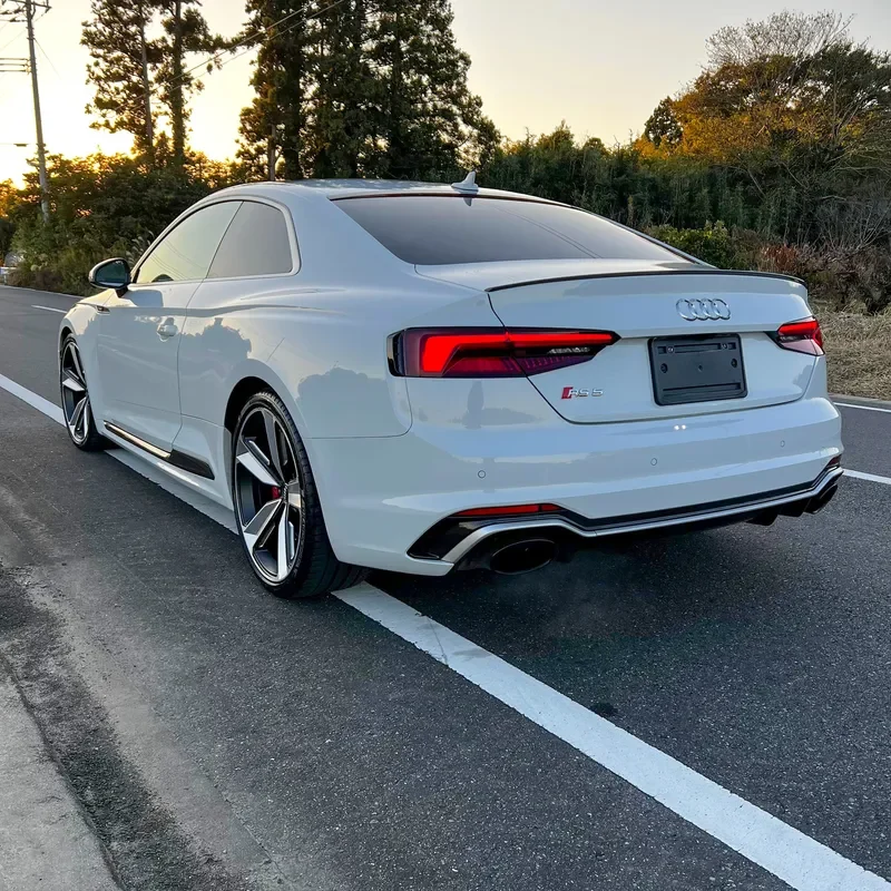RS5 (8)